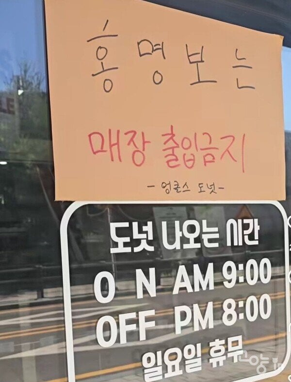거제 야호 이후 대한민국을 휩쓸 유행 | 인스티즈
