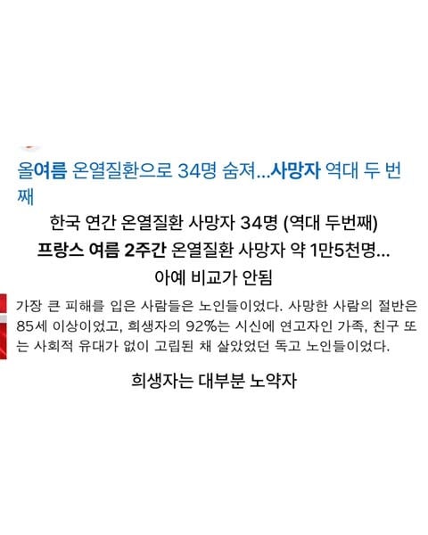 폭염에 최악이 되어버린 프랑스 파리 지붕 | 인스티즈