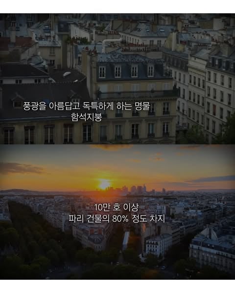 폭염에 최악이 되어버린 프랑스 파리 지붕 | 인스티즈