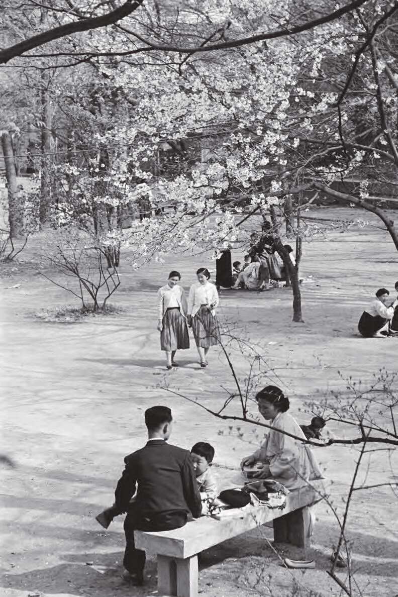 샤넬 화보 느낌 나는 1950~1960년대 서울 사진 | 인스티즈