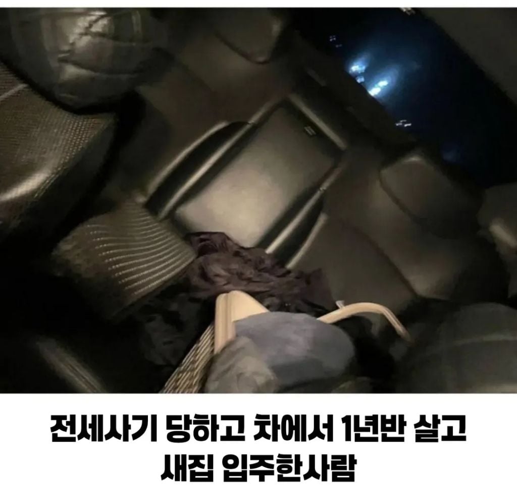 전세사기 당하고 고양이와 차에서 1년 반 버팀 | 인스티즈