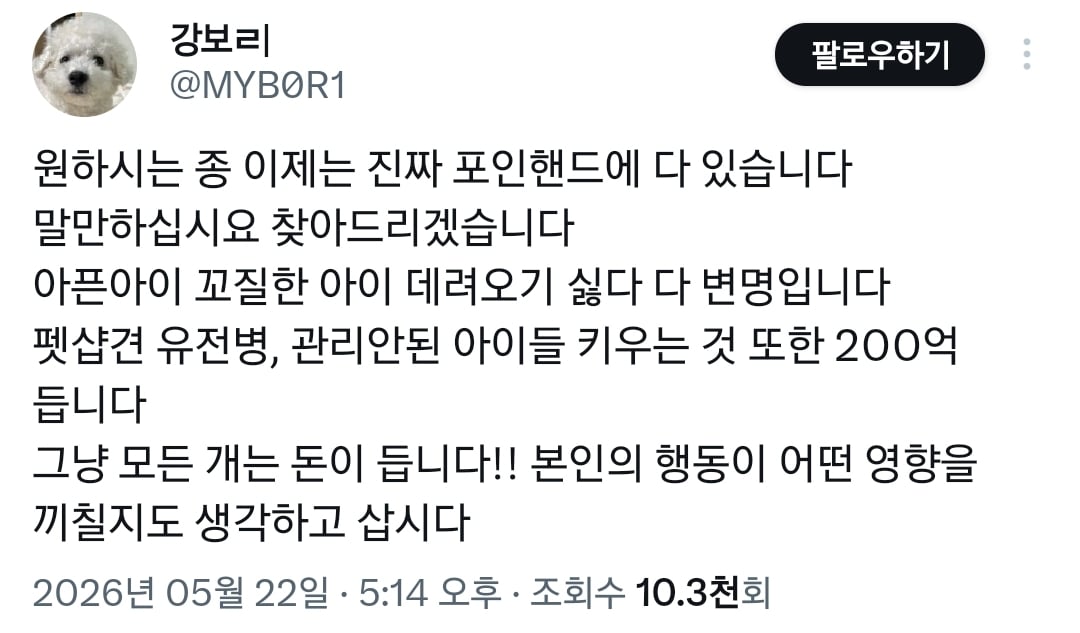 포인핸드에 진짜 아기 품종견 많은지 찾아봄.jpg | 인스티즈