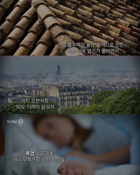 폭염에 최악이 되어버린 프랑스 파리 지붕 | 인스티즈