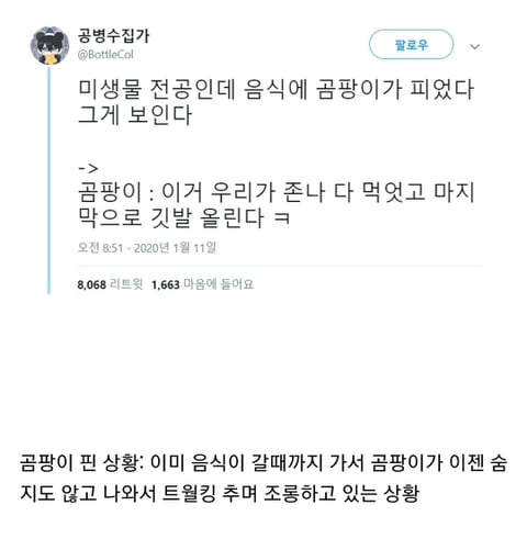 곰팡이 핀 음식을 먹지 말라고 하는 이유 | 인스티즈