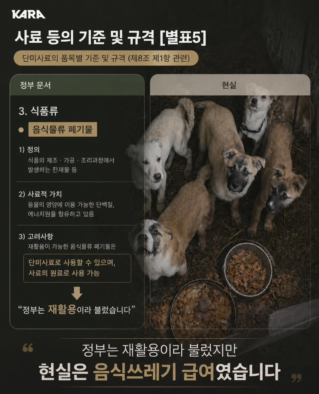정부가 허락한 동물학대, 음식물 쓰레기 처리수단 ~ing | 인스티즈