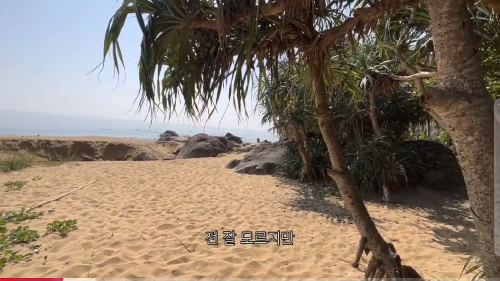 영화 월남보살 생각나는 꿩유갱 브이로그 | 인스티즈