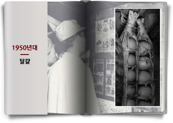 귀하신 몸이었던 계란.jpg | 인스티즈