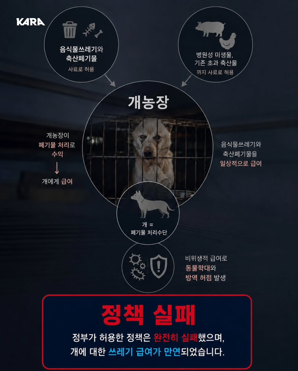 정부가 허락한 동물학대, 음식물 쓰레기 처리수단 ~ing | 인스티즈