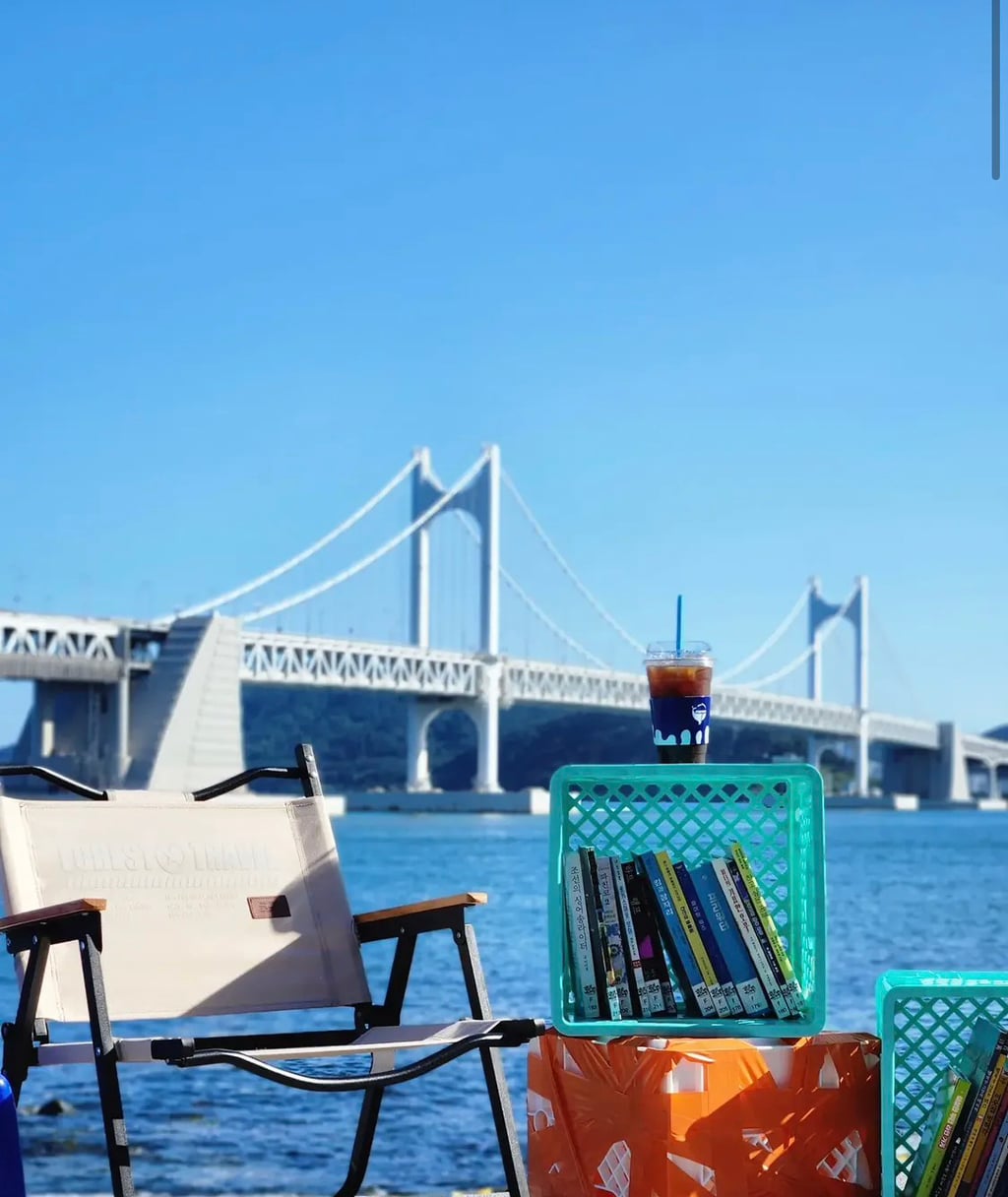 현재 부산에서 진행 중인 바다 도서관, 바다 영화관 | 인스티즈