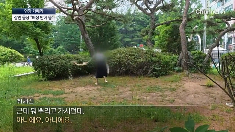 [뉴스] '유해동물 지정' 비둘기에게 밥 주는 비둘기맘 쫓아가봤습니다 ㅋㅋㅋ | 인스티즈