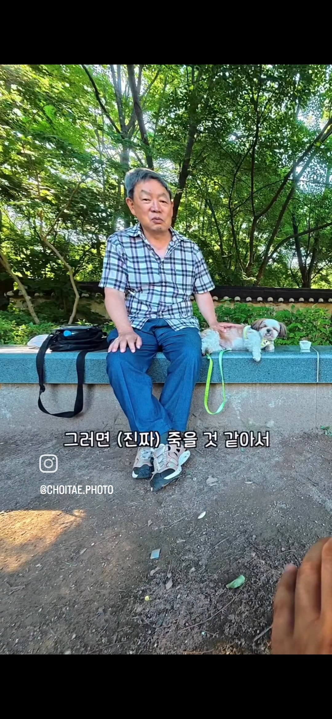 이름이... 이게... 인자...그... 유기견...! | 인스티즈