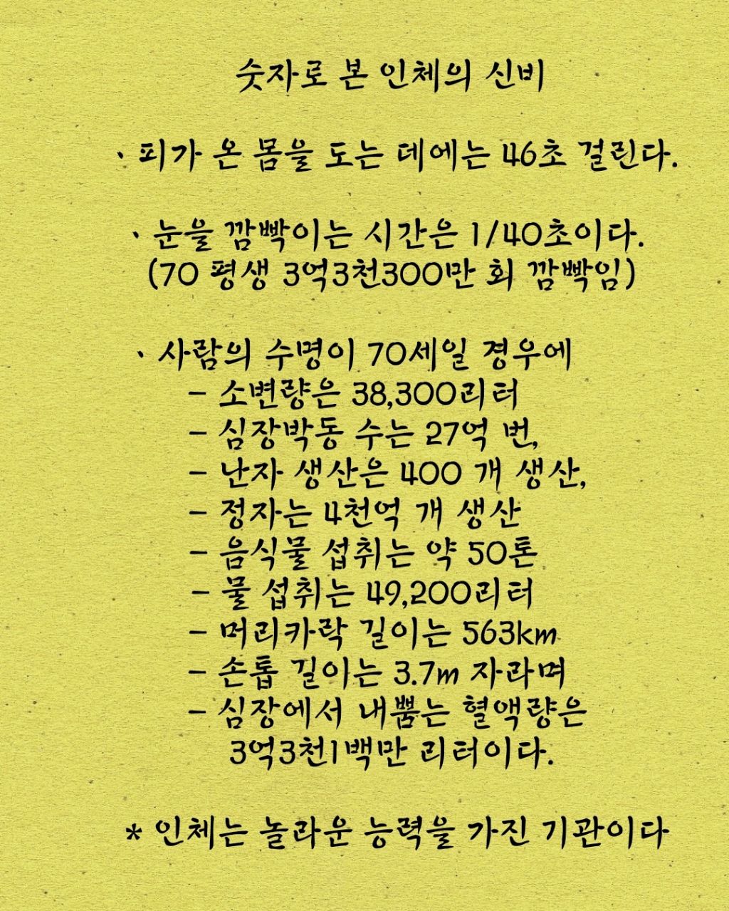 숫자로 본 인체의 신비 | 인스티즈