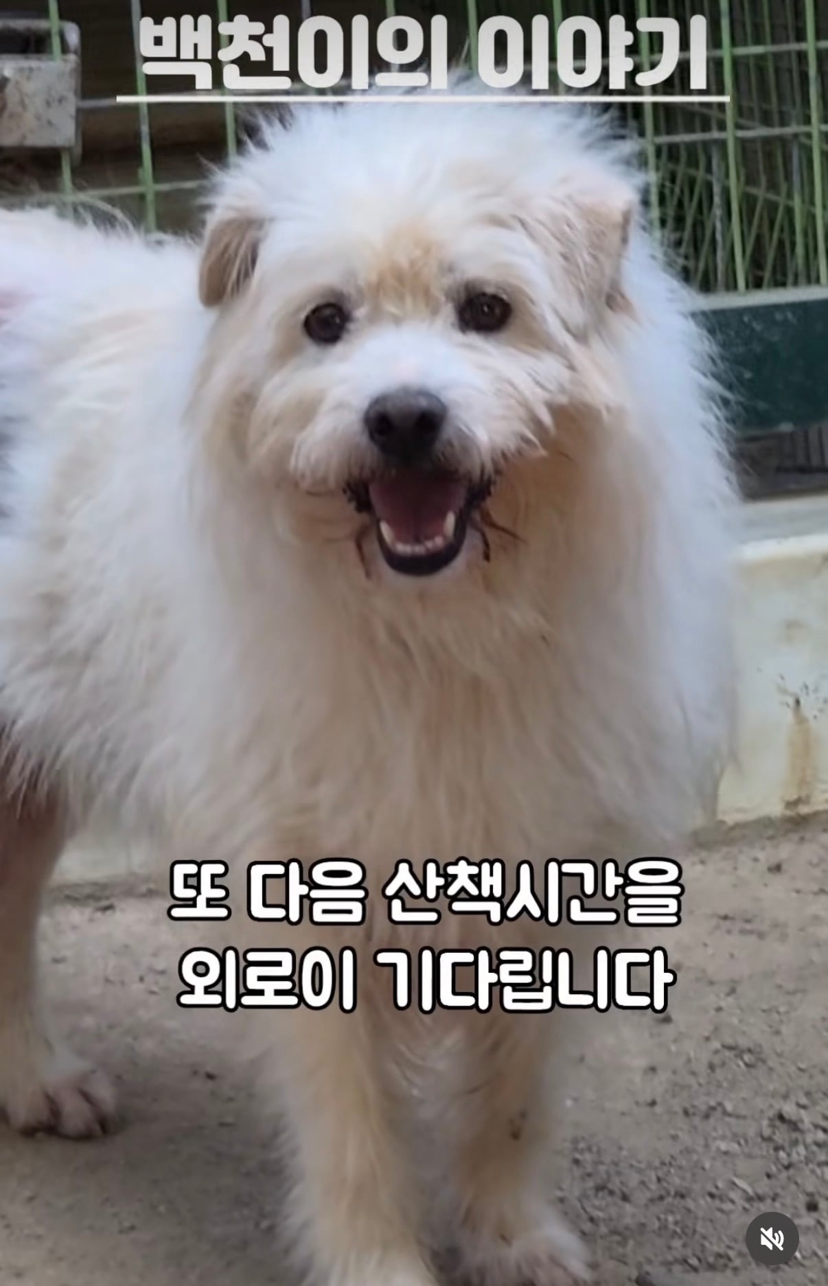 7년의 기다림 +🐶단기임보 | 인스티즈