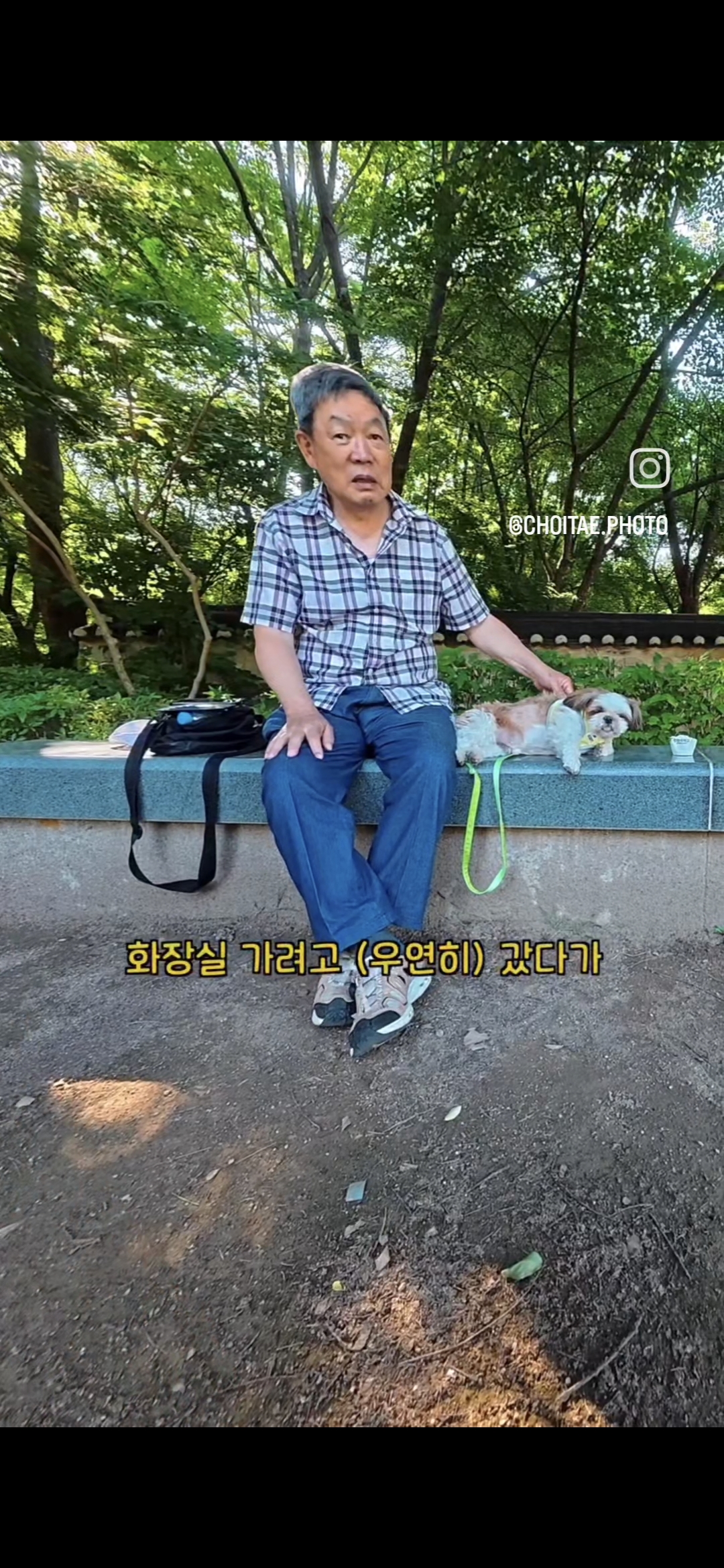 이름이... 이게... 인자...그... 유기견...! | 인스티즈