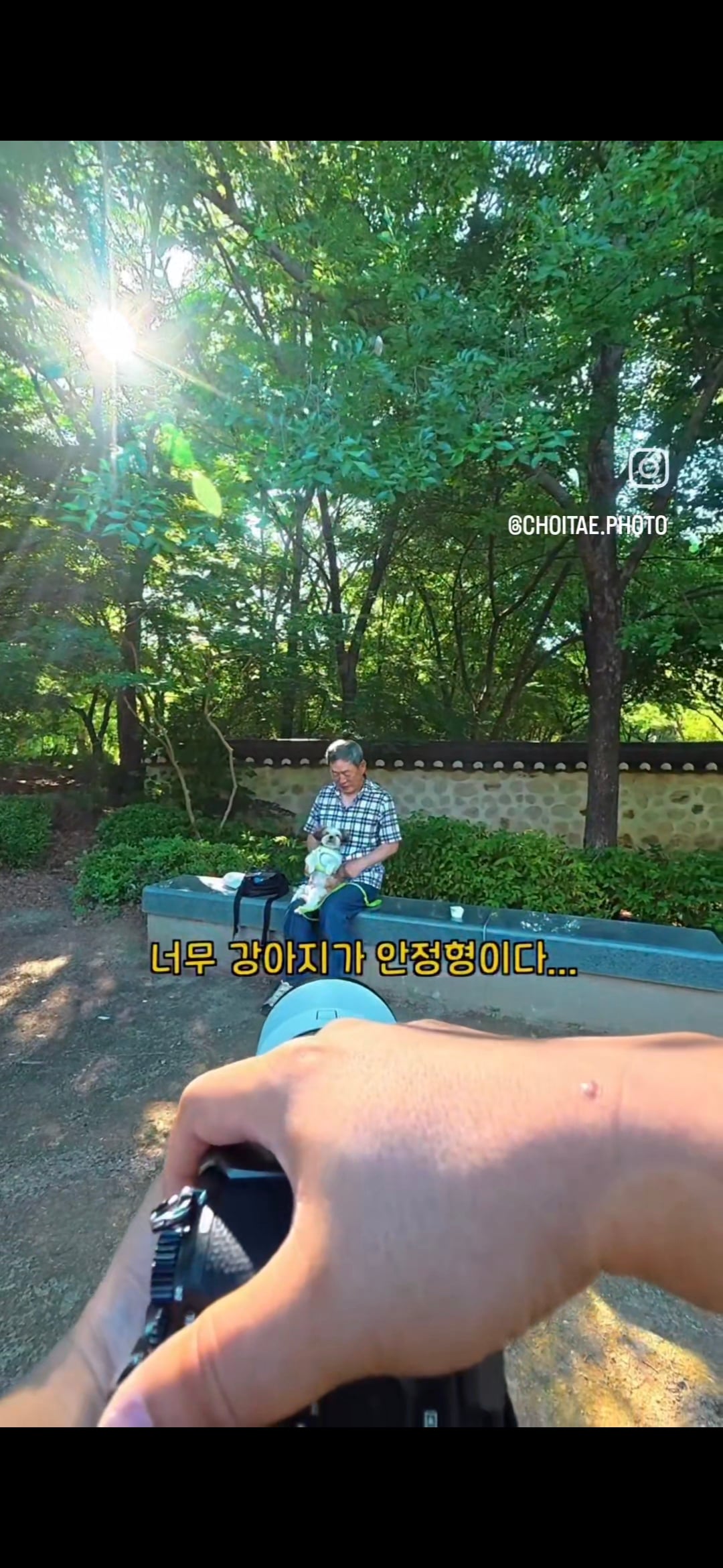 이름이... 이게... 인자...그... 유기견...! | 인스티즈