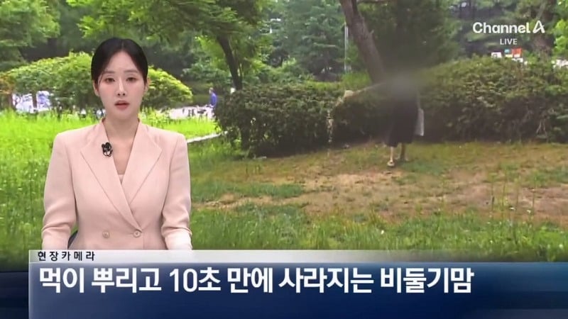 [뉴스] '유해동물 지정' 비둘기에게 밥 주는 비둘기맘 쫓아가봤습니다 ㅋㅋㅋ | 인스티즈