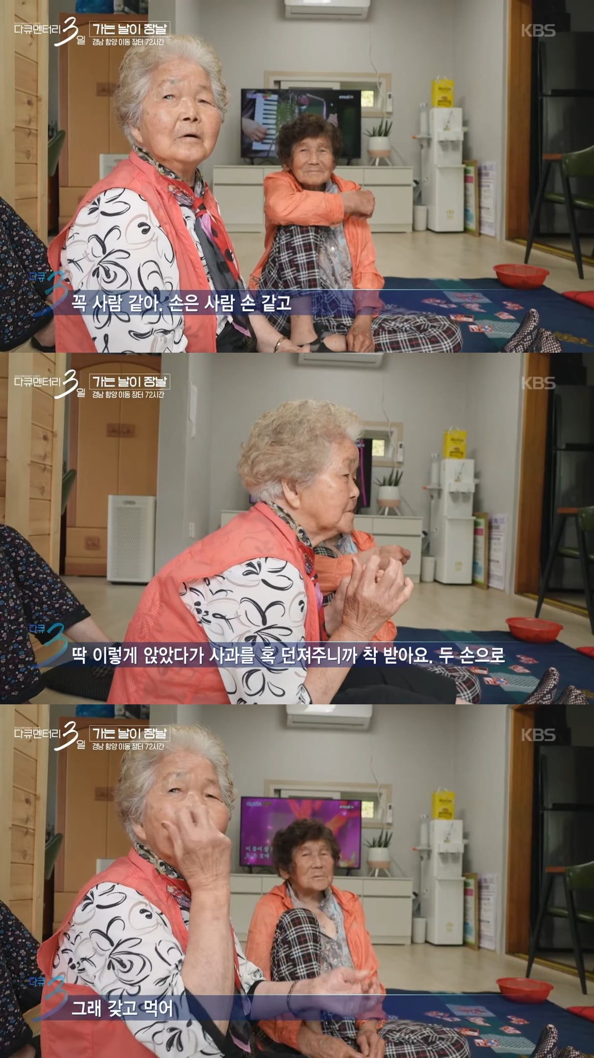 @ : 우리집에 곰이 들어와서 사과 던져줬더니 손으로 촵 받아 먹은 썰 푼다.jpg | 인스티즈