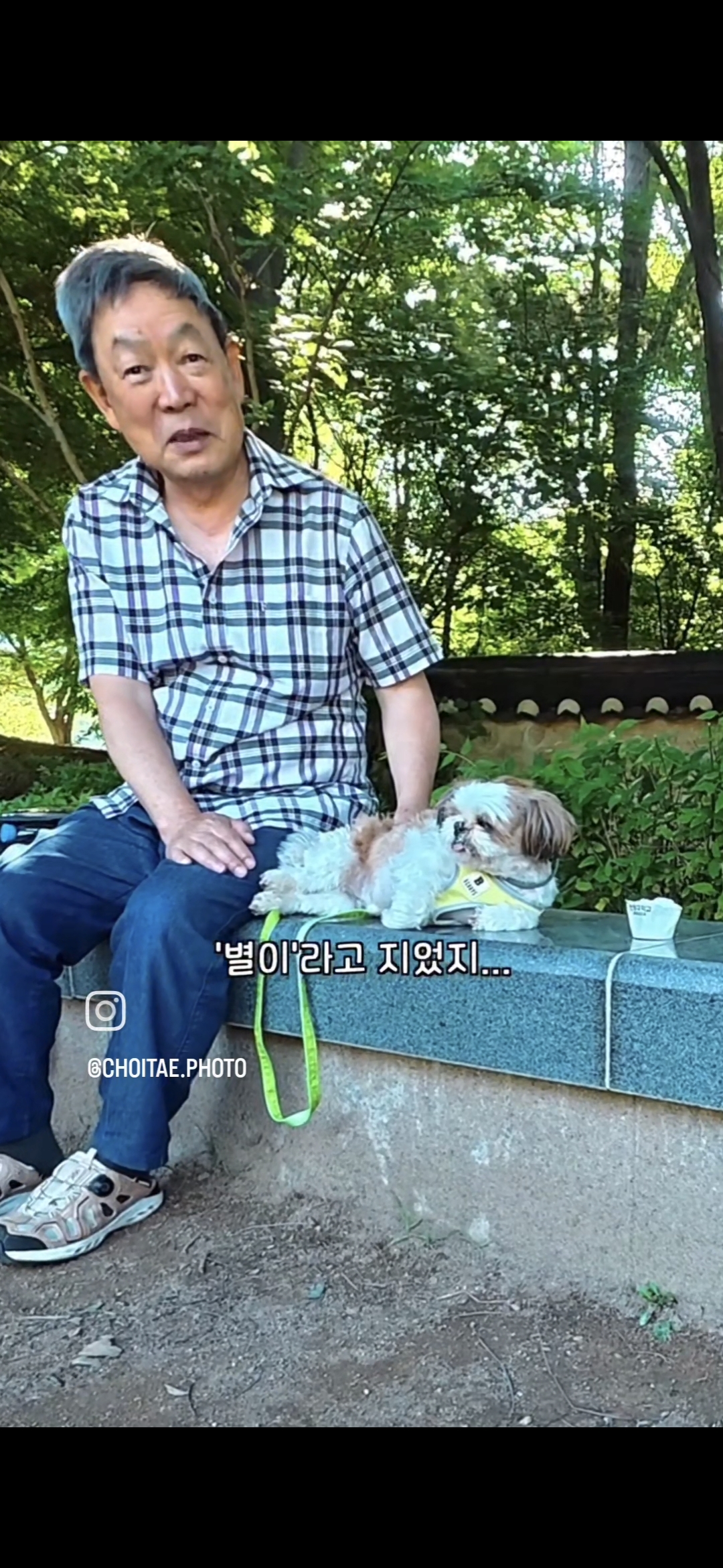 이름이... 이게... 인자...그... 유기견...! | 인스티즈