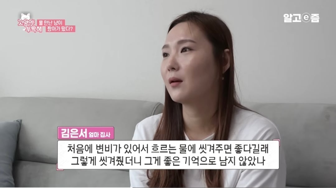 물만 보면 뛰어드는 물에 미친 고양이.jpg | 인스티즈