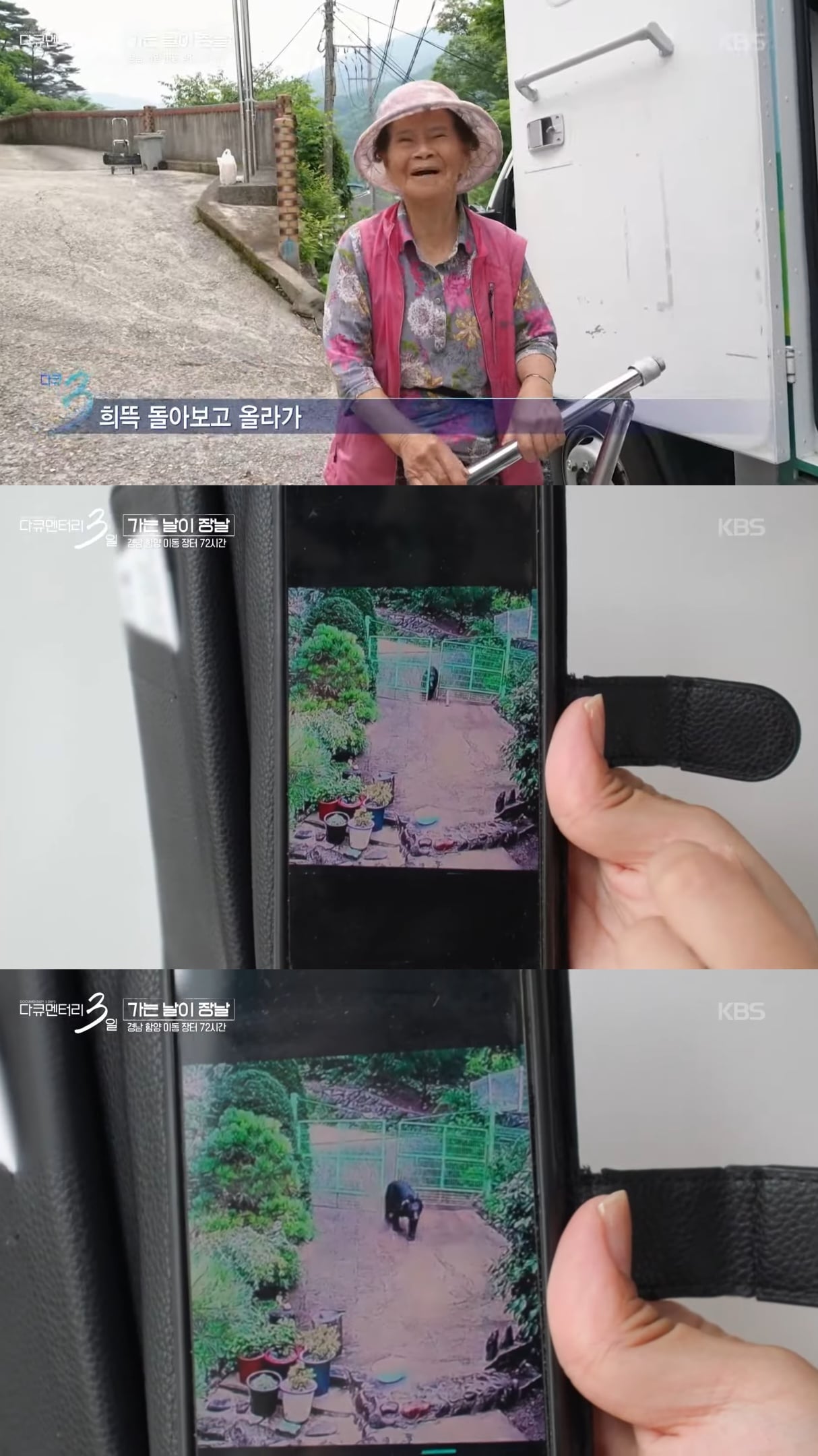 @ : 우리집에 곰이 들어와서 사과 던져줬더니 손으로 촵 받아 먹은 썰 푼다.jpg | 인스티즈
