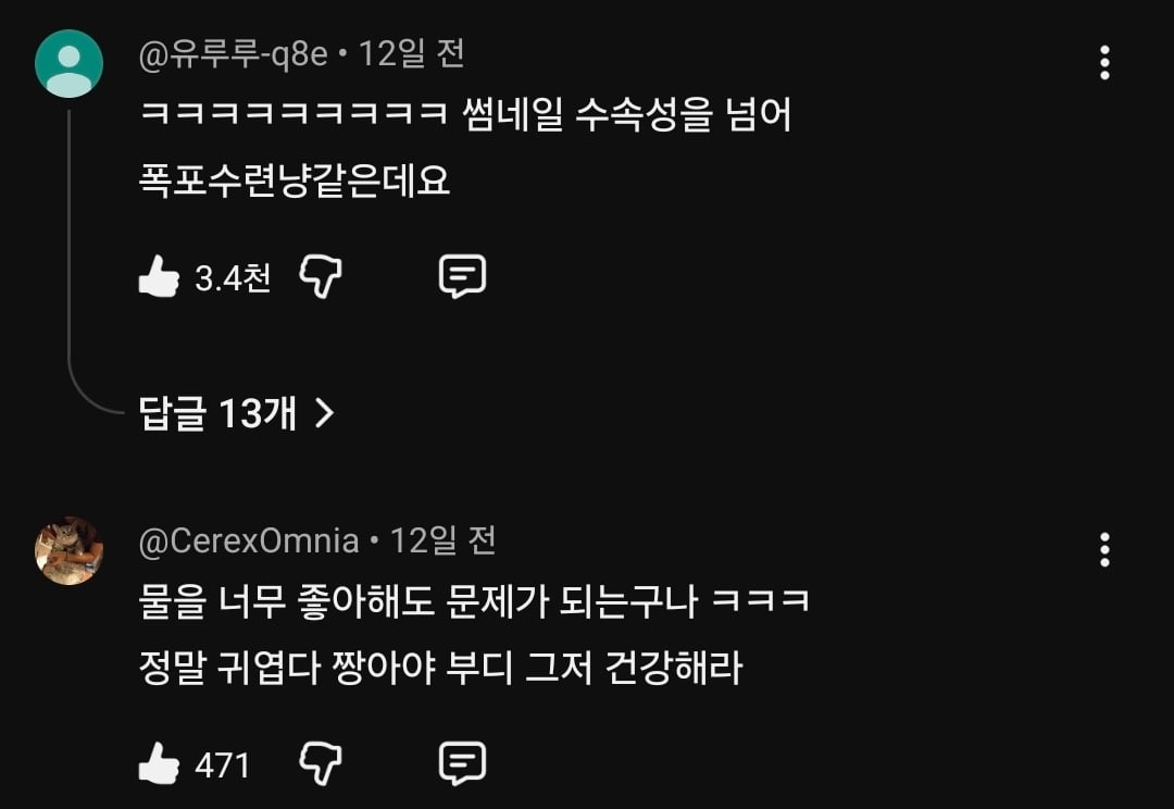 물만 보면 뛰어드는 물에 미친 고양이.jpg | 인스티즈