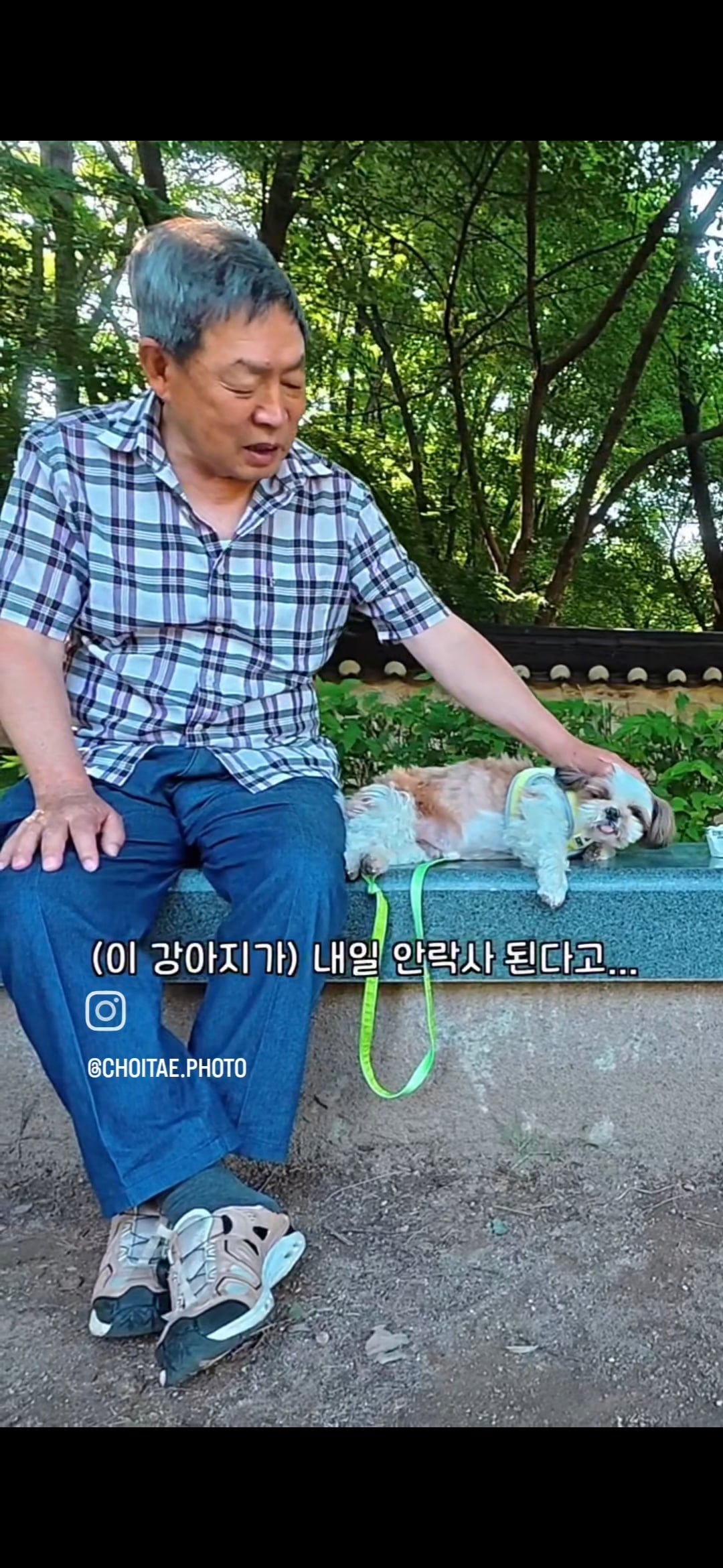 이름이... 이게... 인자...그... 유기견...! | 인스티즈
