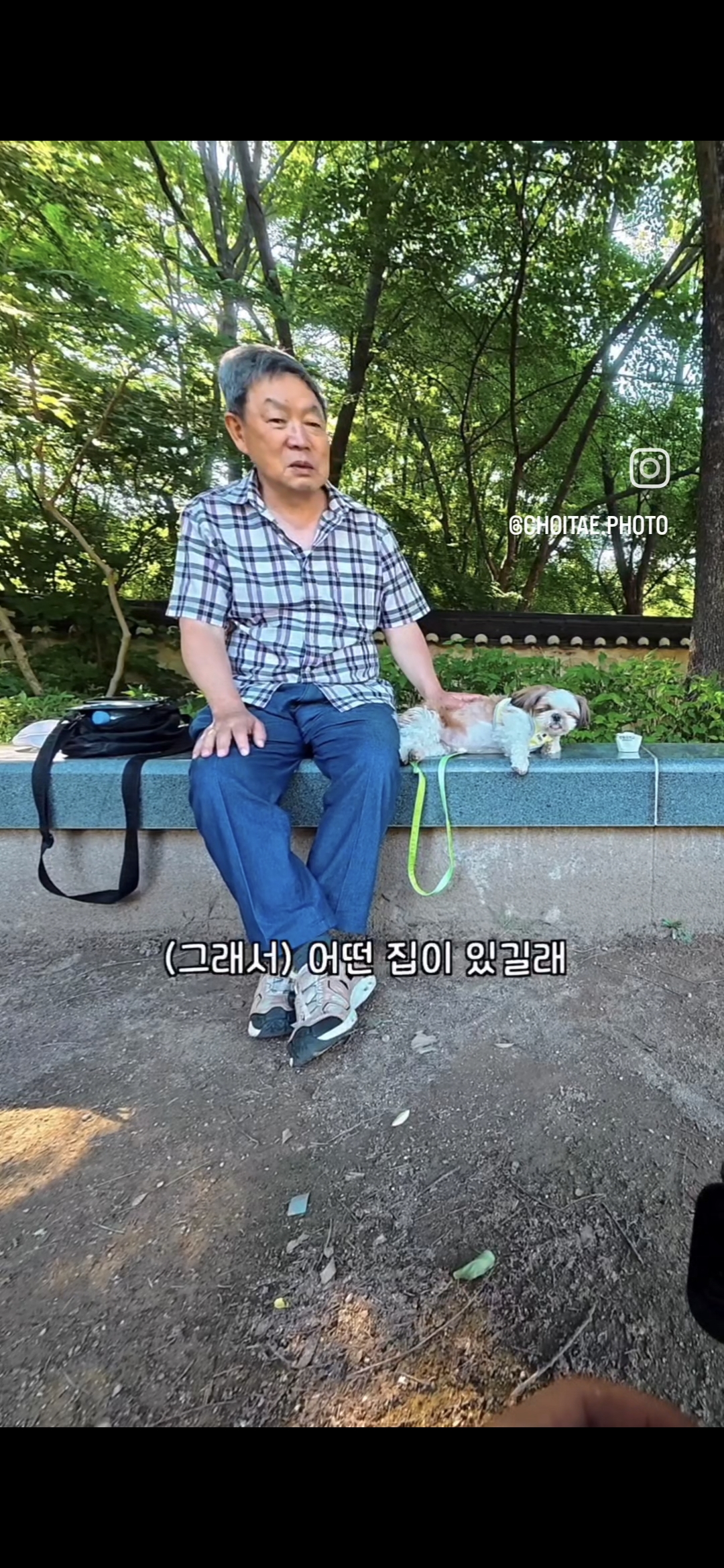 이름이... 이게... 인자...그... 유기견...! | 인스티즈
