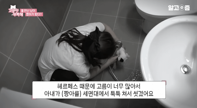 물만 보면 뛰어드는 물에 미친 고양이.jpg | 인스티즈