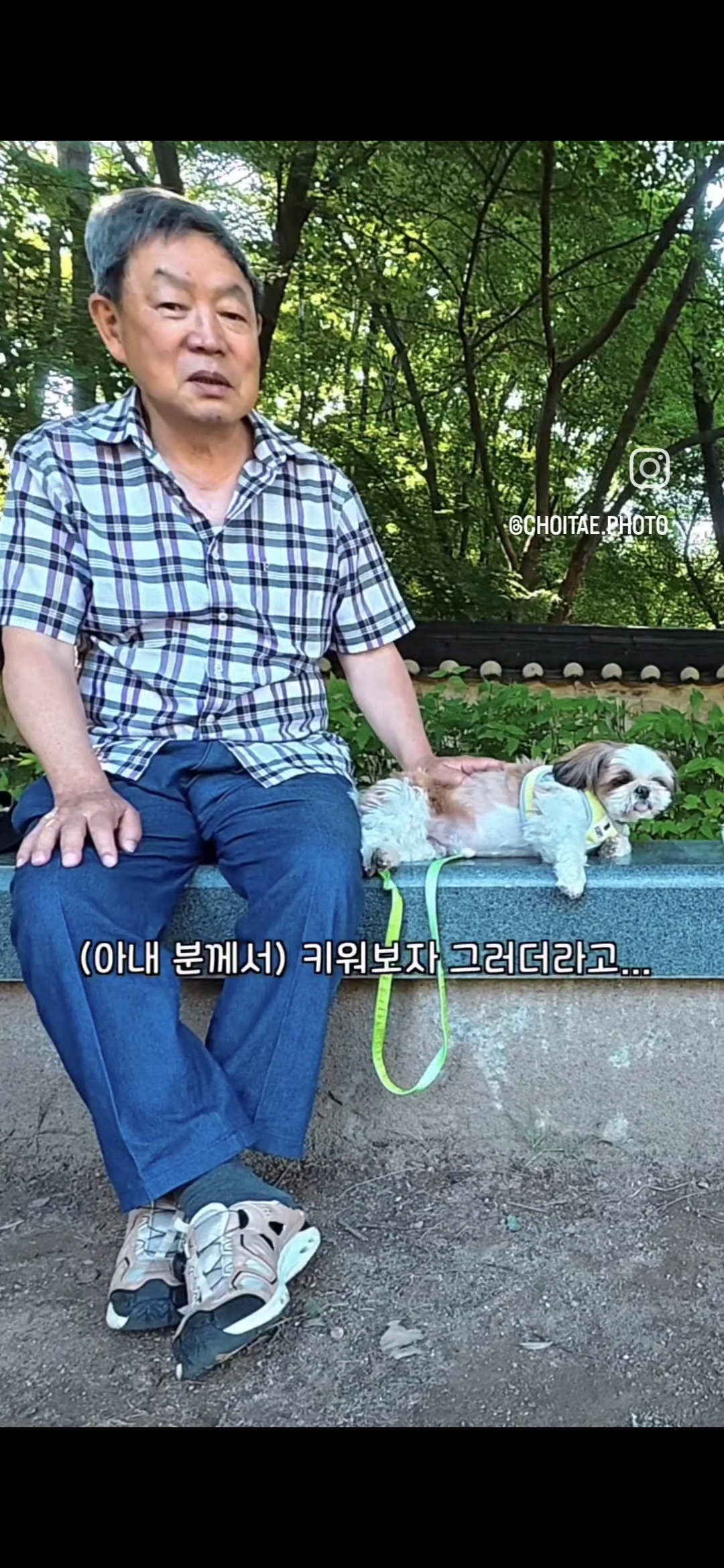 이름이... 이게... 인자...그... 유기견...! | 인스티즈
