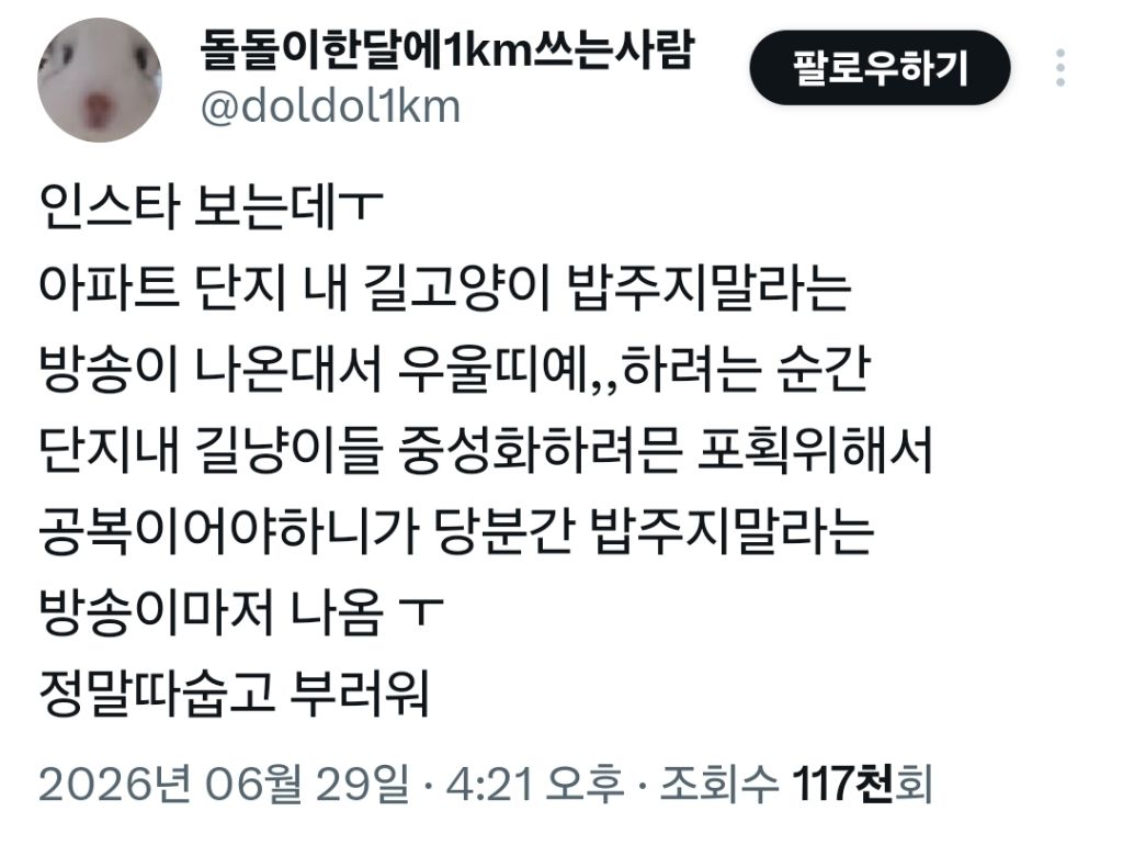 📢: 아파트 단지 내 길고양이 밥 주지 마세요 | 인스티즈