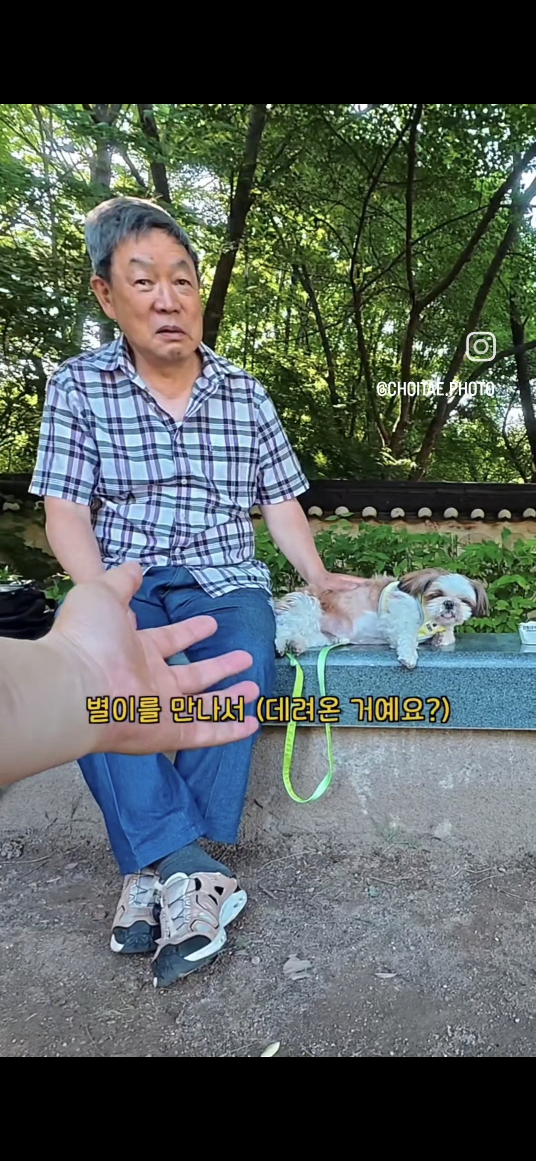 이름이... 이게... 인자...그... 유기견...! | 인스티즈