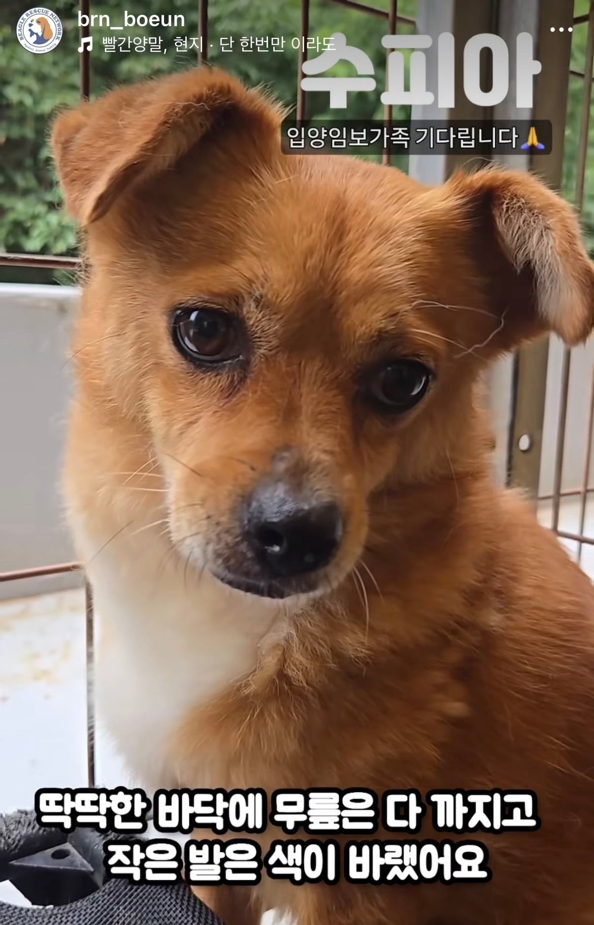 7년의 기다림 +🐶단기임보 | 인스티즈