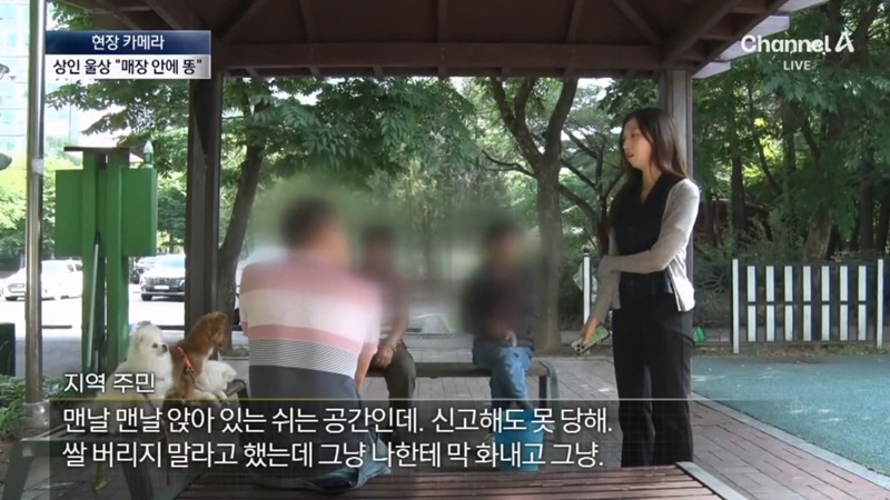 [뉴스] '유해동물 지정' 비둘기에게 밥 주는 비둘기맘 쫓아가봤습니다 ㅋㅋㅋ | 인스티즈