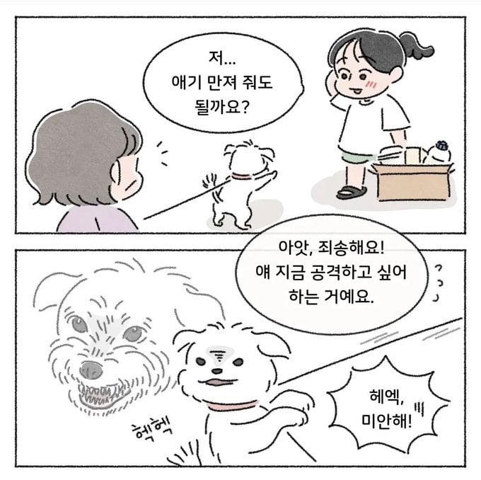 애기 만져줘도 될까요? | 인스티즈