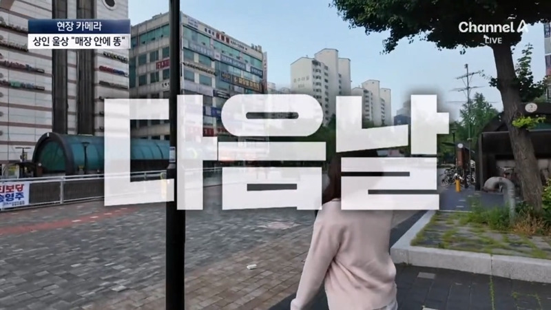 [뉴스] '유해동물 지정' 비둘기에게 밥 주는 비둘기맘 쫓아가봤습니다 ㅋㅋㅋ | 인스티즈