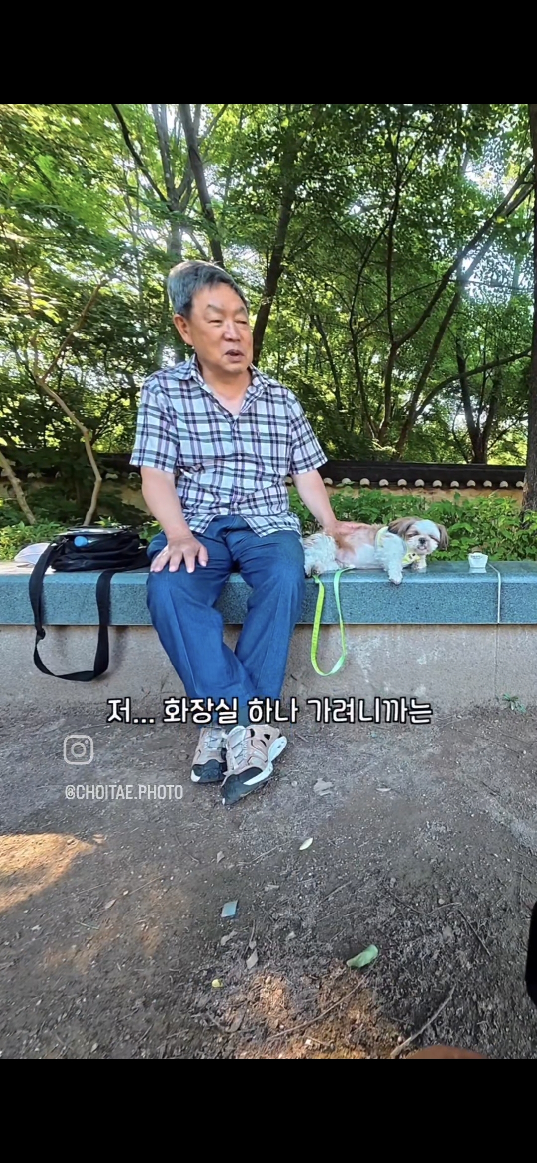 이름이... 이게... 인자...그... 유기견...! | 인스티즈