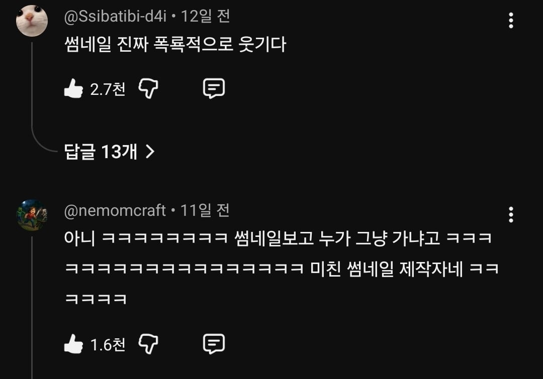 물만 보면 뛰어드는 물에 미친 고양이.jpg | 인스티즈