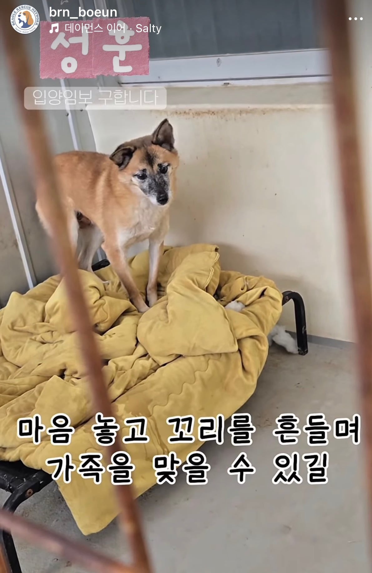 7년의 기다림 +🐶단기임보 | 인스티즈