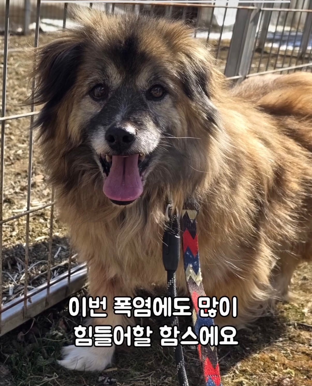 7년의 기다림 +🐶단기임보 | 인스티즈