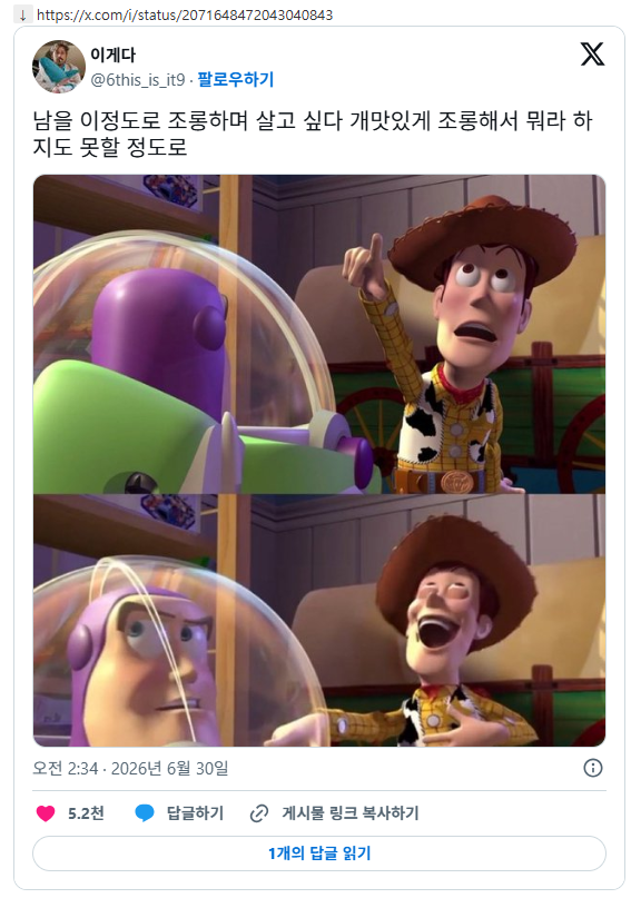 토이스토리 1편 우디가 정말 표독하다고 해서 다시 보는중인데 진짜 개표독해서 웃기다 | 인스티즈