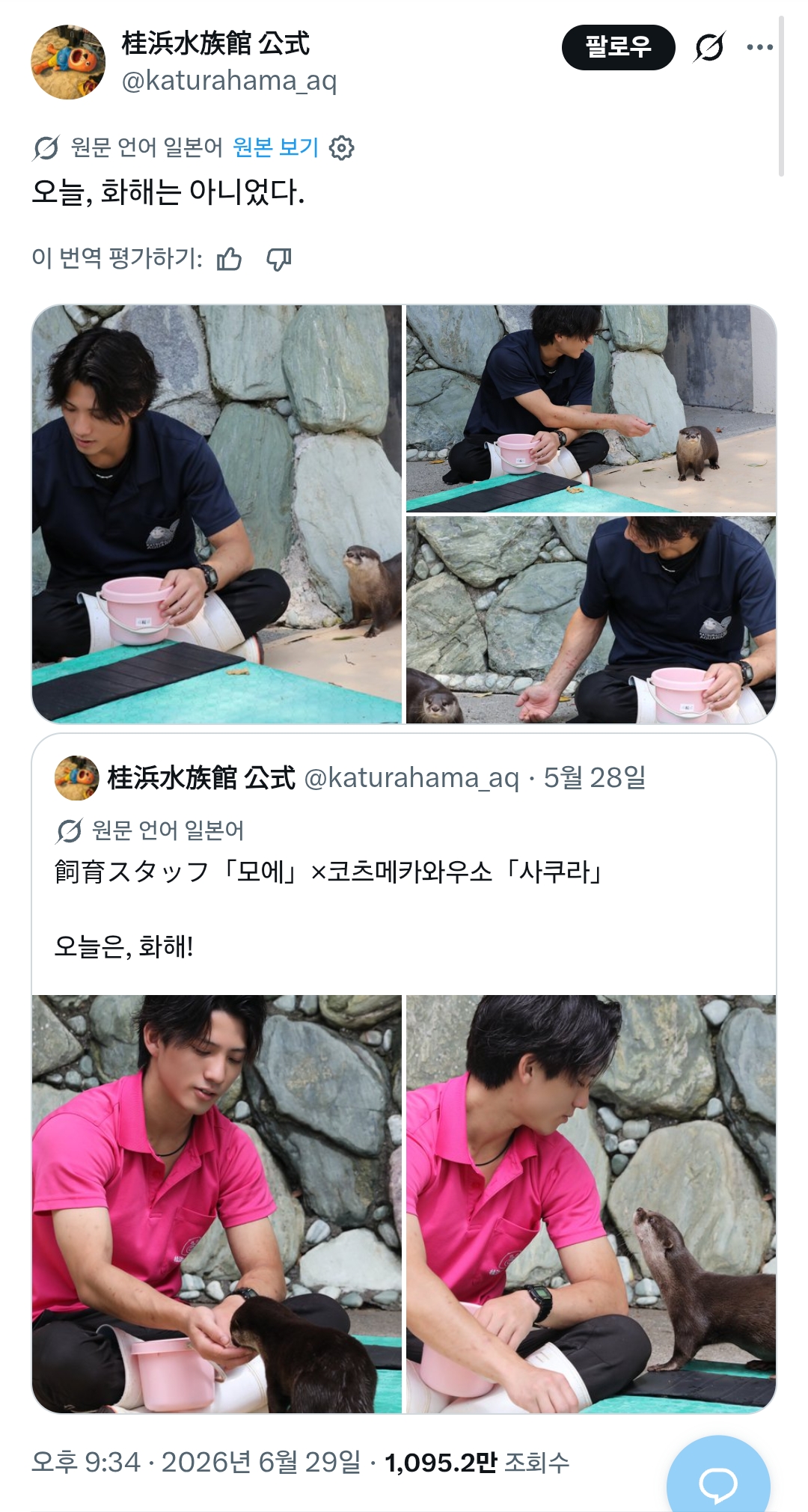 트위터에서 잘생겼다고 화제인 일본 동물원 사육사 | 인스티즈