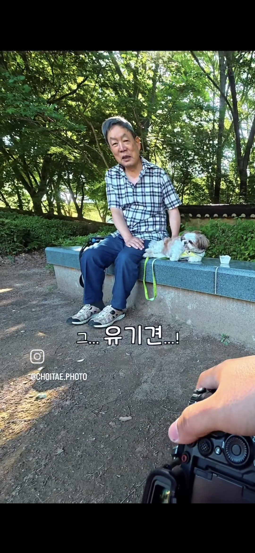 이름이... 이게... 인자...그... 유기견...! | 인스티즈