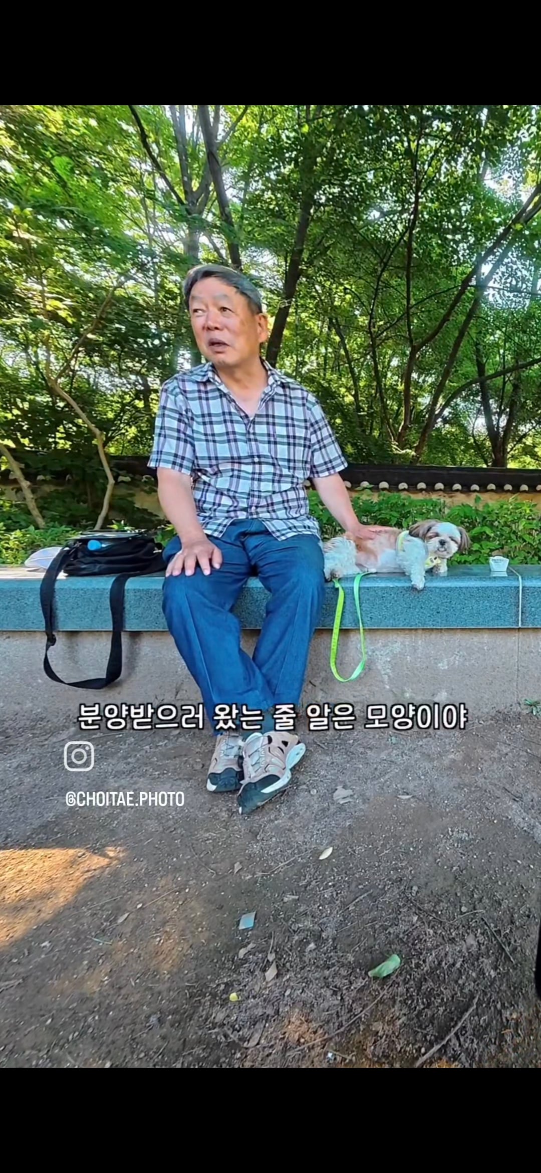 이름이... 이게... 인자...그... 유기견...! | 인스티즈