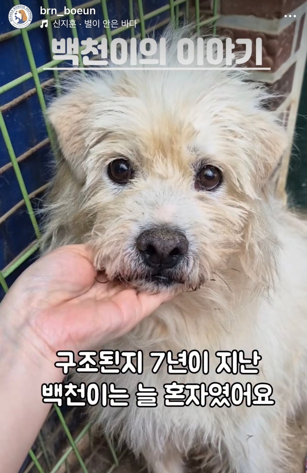 7년의 기다림 +🐶단기임보 | 인스티즈
