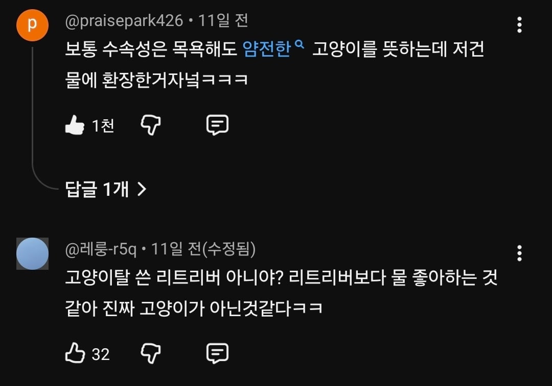 물만 보면 뛰어드는 물에 미친 고양이.jpg | 인스티즈