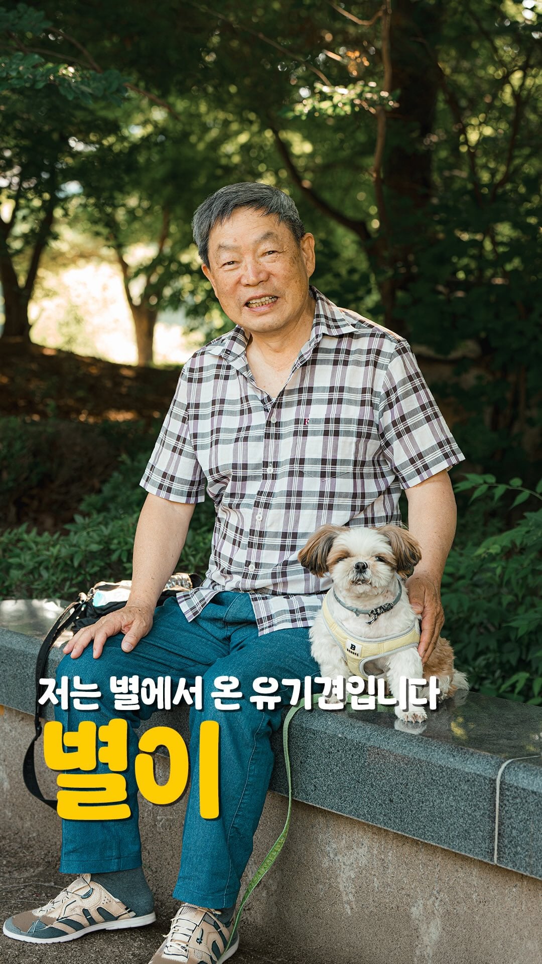 어느 댕댕이의 이름 | 인스티즈
