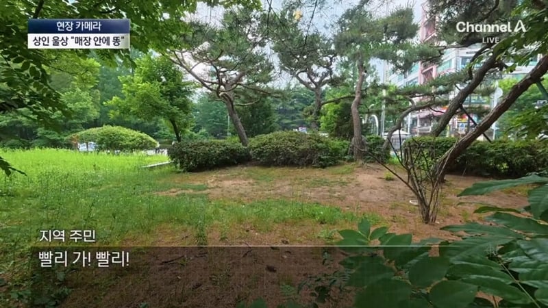 [뉴스] '유해동물 지정' 비둘기에게 밥 주는 비둘기맘 쫓아가봤습니다 ㅋㅋㅋ | 인스티즈