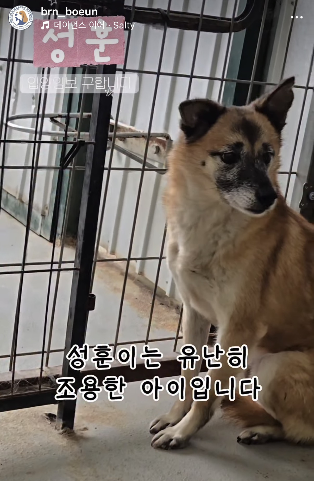 7년의 기다림 +🐶단기임보 | 인스티즈