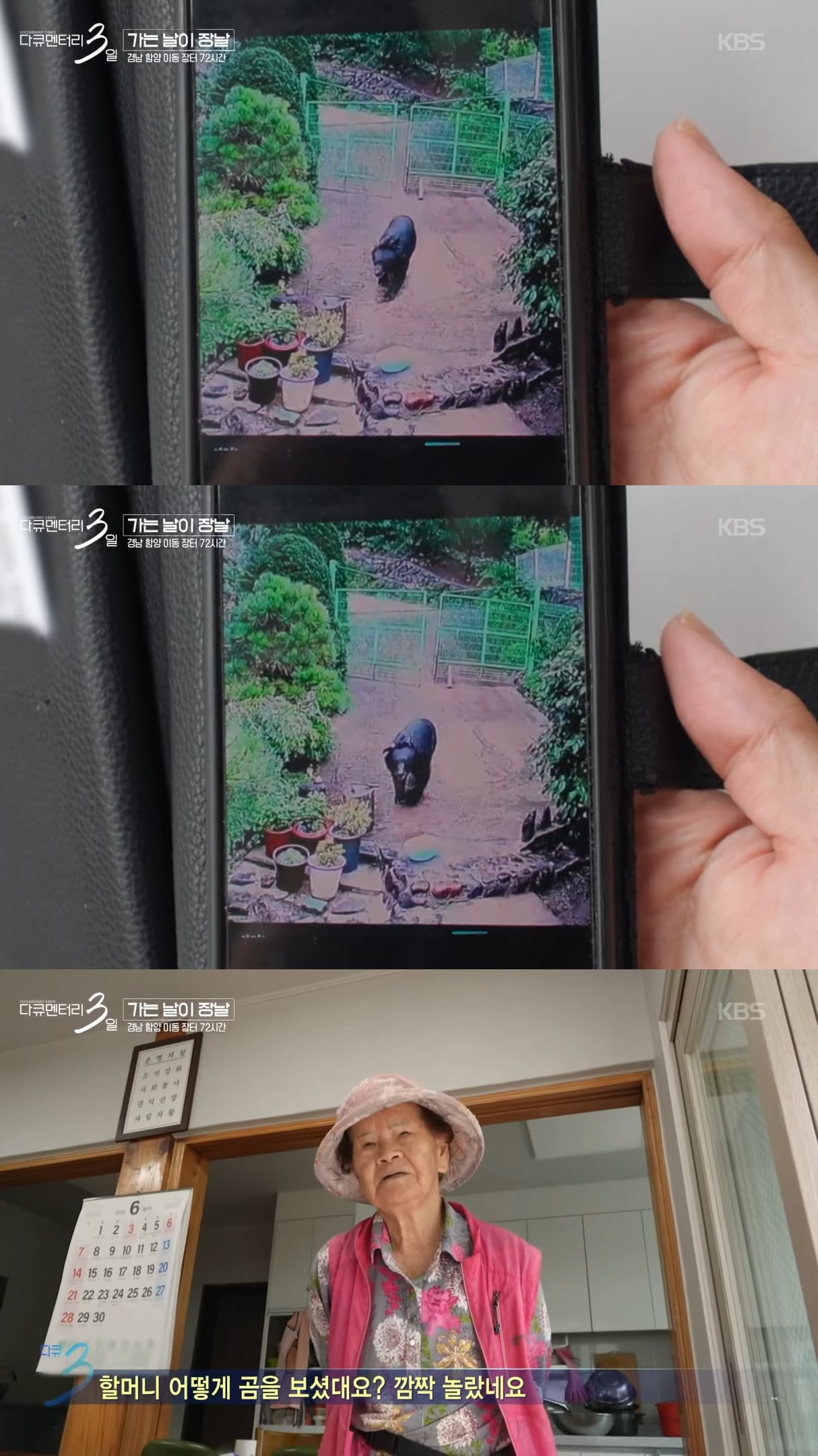 @ : 우리집에 곰이 들어와서 사과 던져줬더니 손으로 촵 받아 먹은 썰 푼다.jpg | 인스티즈