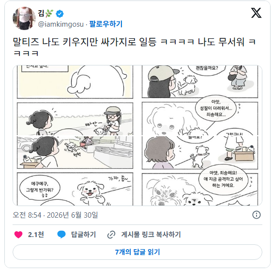 애기 만져줘도 될까요? | 인스티즈
